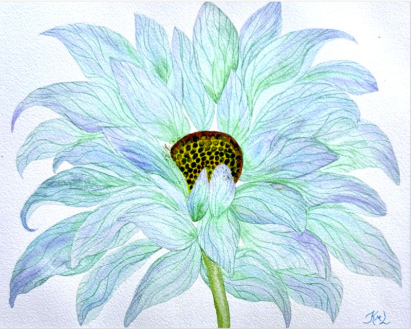 PAINTING WATERCOLOR 11X14 AND BLACK MAT 16X20 FLOWER GERBERA DAISY BLUE PURPLE