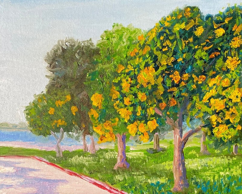 Impressive Oil painting. Original. San Diego Street Scene. Signed by Artist.