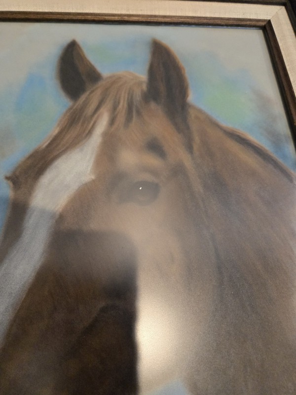 Vintage Framed Horse Painting "Scamper "Artist Signed By Joy Campbell gallery