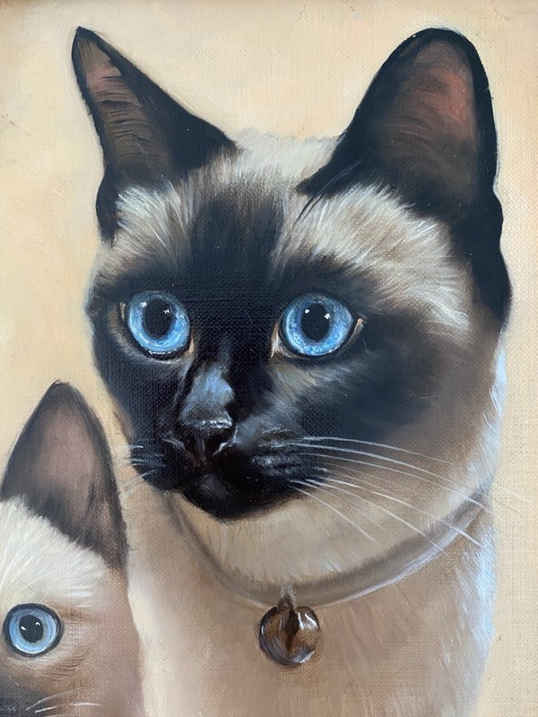 Nancy Carlyle Ca. Mid Century Siamese Cat Kitten Modern Portrait Animal Painting gallery