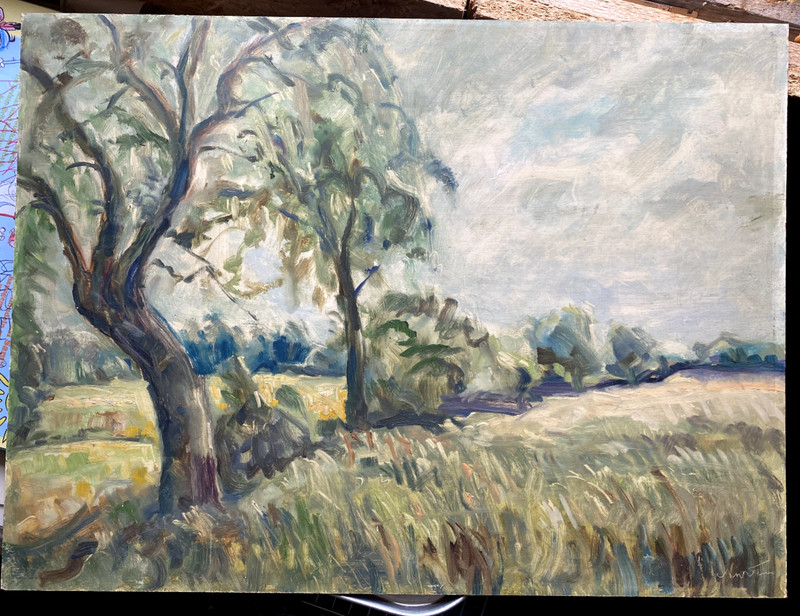::OIL PAINTING FRUIT TREES APPLE TREE MEADOWS ° ILLEGIBLE SIGNED ANTIQUE NATURE FIELDS