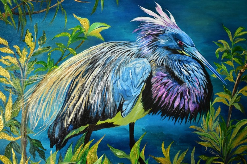 Little Blue Heron ~ Birds/Nature/Wildlife Art