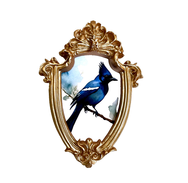 Bluejay Stellar Jay Framed Miniature Mini ART PRINT Gold Ornate Frame NOT ACEO gallery