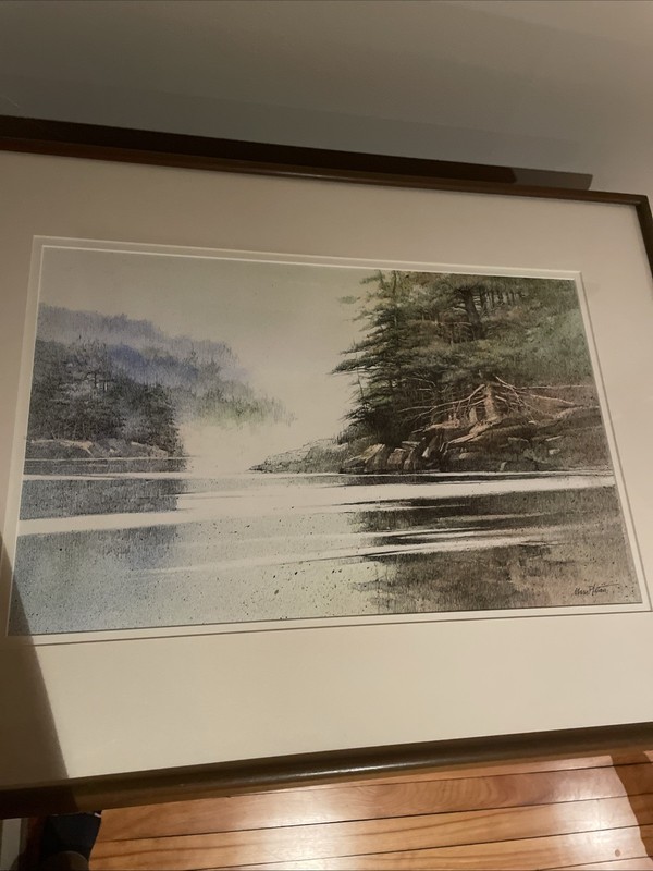 Original Maris Platais Ink And Acrylic “Coastal fantasy” 20x13” Framed 24x30” gallery