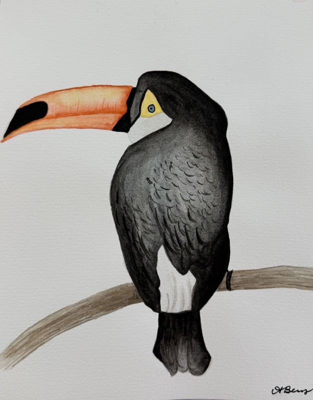 Abstract Watercolor Art Toucan Bird on 8x10 Paper gallery