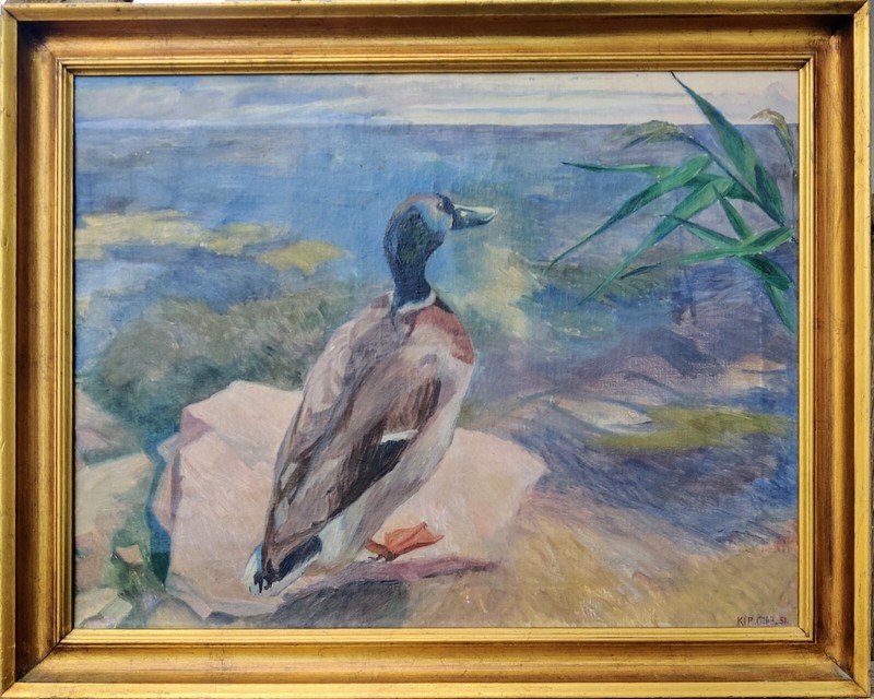Agnete Kip Glob (1899-1954): DRAKE MALE DUCK, original oil painting, dated 1951