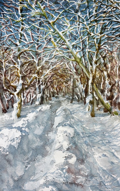 Original Watercolor Winter Painting Path Through Snowy Trees – Sunlit Landscape