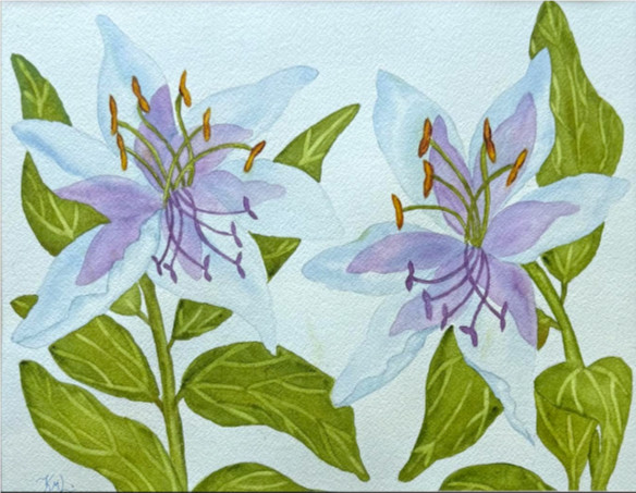 PAINTING WATERCOLOR 11X14 & WHITE MAT 16X20 FLOWER LILY BLUE GREEN ORIGINAL ART
