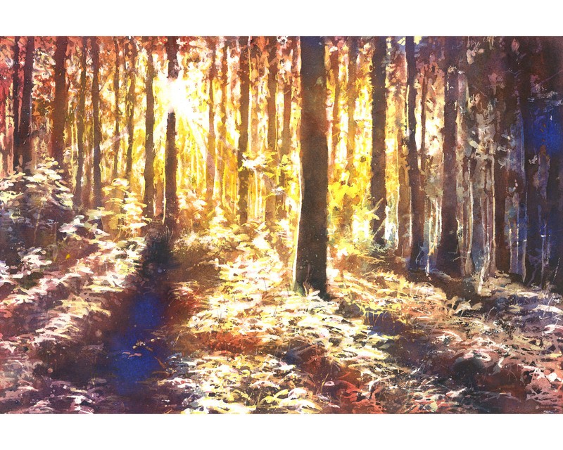 Colorful forest at sunset landscape painting art house interior design (original
