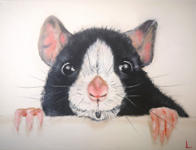 Rat Original oil painting Fancy Rat Small wall art 100% Handmade 7.1 x 9.4 in