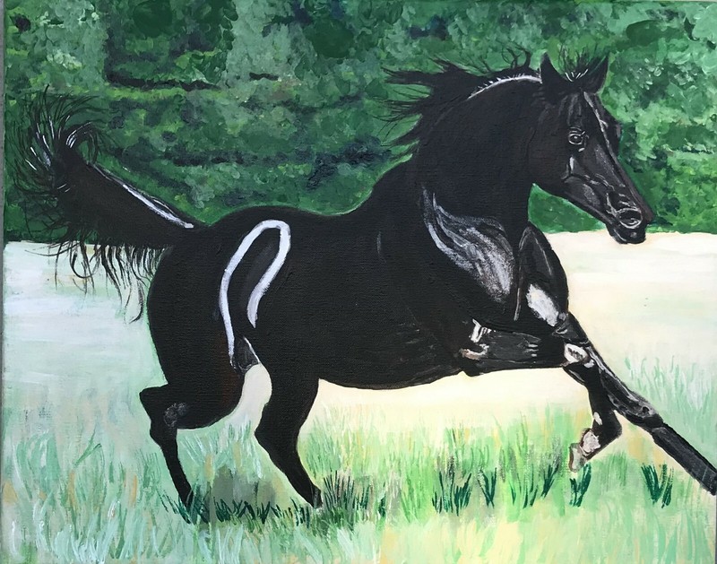 Galleta, Black Arabian Horse, Art Acrylic Painting on Canvas, 16 x 20 inches