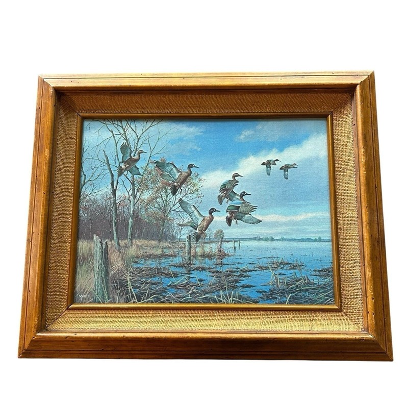 David Maass #513 Limited Edition Canvas Painting «Alarmed» Wildlife Art 22″ X 18