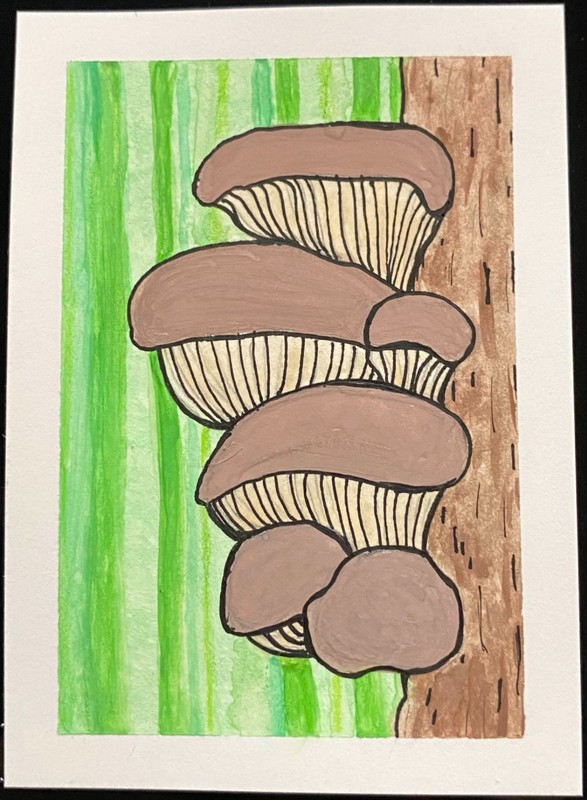 ACEO Original Mushroom Nature Fungi Plant Miniature Painting Tree OneCraftyLady