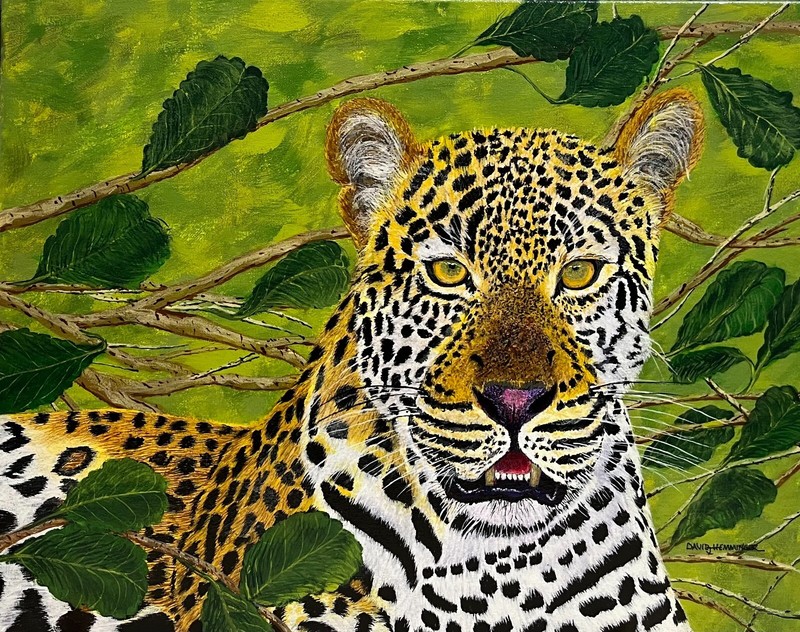leopard, tiger, lion, panther, cougar, jaguars, big cats, wild cats