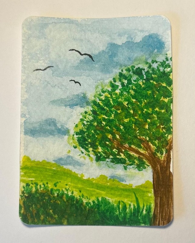 Original ACEO Watercolor Tree Meadow Birds OOAK Art Card «Over The Field»