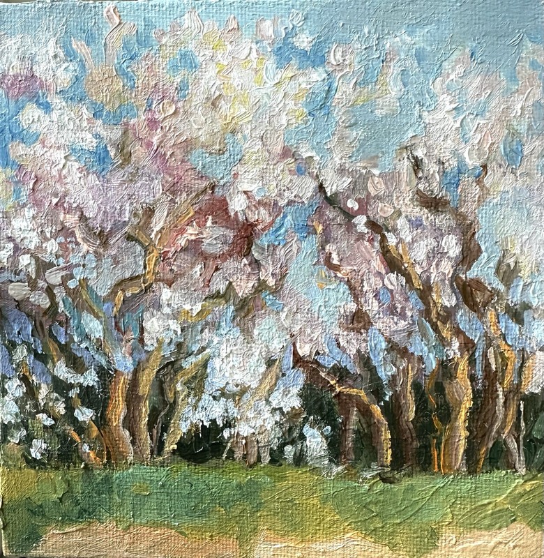 Cherry Tree Bloom Painting Original Spring Cherry blossom Impressionist Art