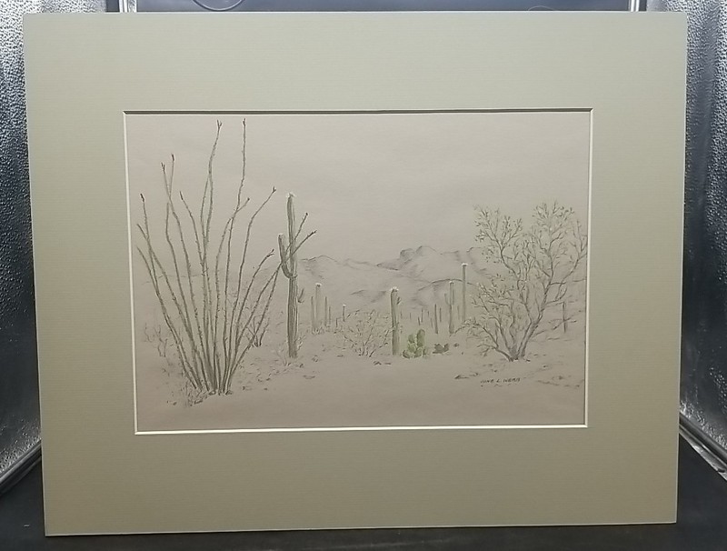 June L. Webb Watercolor Sonoran Desert Landscape Matted & Signed Saguaro Bloom