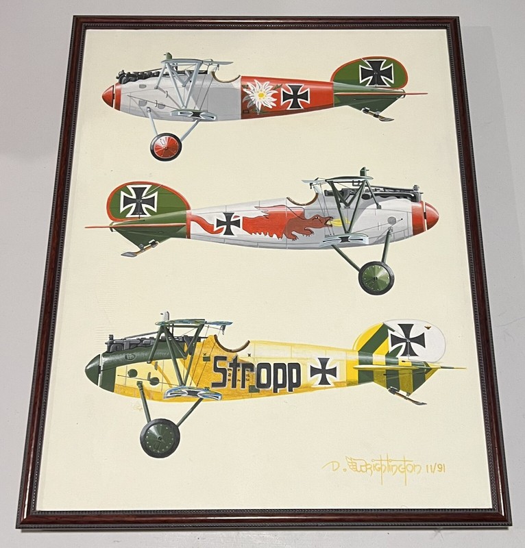 German WWI Aircraft Original Painting on Canvas Albatros D.V Profiles