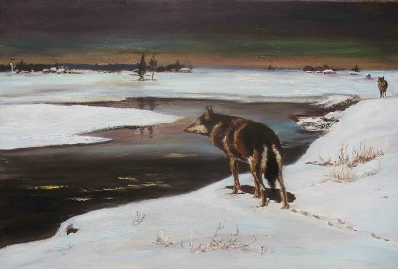 Volwes at night – W.Kowal – after A.W.Kowalski